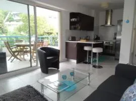 Modern one bedroomed apartment just off the Cannes Seafront with a terrace and pool access 1753
