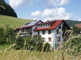 Pension Haus-Sommerberg, B&B in Baiersbronn