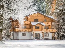 MEINE HEIMAT - Apartments in Ramsau bei Schladming - Skigebiet AMADE