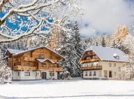 MEINE HEIMAT - Apartments in Ramsau bei Schladming - Skigebiet AMADE