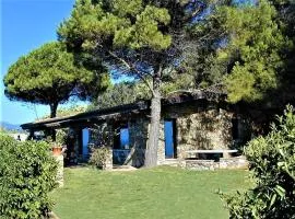 Villa Erste
