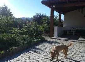 Quinta de São João