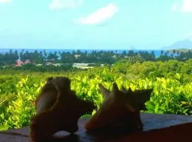 Studios Carribean Sea View