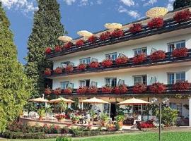 ホテル ベーリンガーズ トラウベ（Hotel Behringer's Traube）、バーデンヴァイラーのホテル