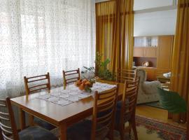 Apartman Nikolic, holiday rental in Bor