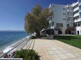 Siagas Beach Hotel, Hotel in Agii Theodori