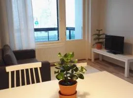 City Apartment Pääsky