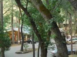 Yosemite Bug Rustic Mountain Resort