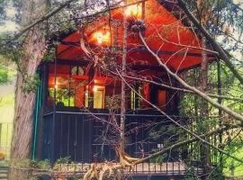 Casa En El Árbol Con Sauna somos PETFRIENDLY