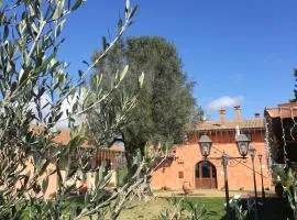 Poggio dei cavalieri