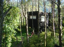 Lodge Punahue, hotel in Choshuenco