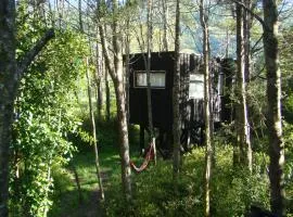 Lodge Punahue
