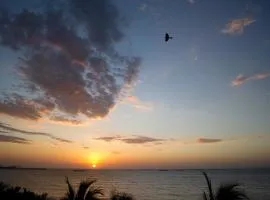 Apartamento con playa privada y piscina