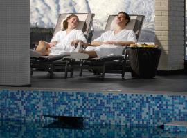 Rauland Høgfjellshotell, hotel i Rauland