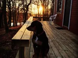 Farm Stay Happy Dogs Ranch