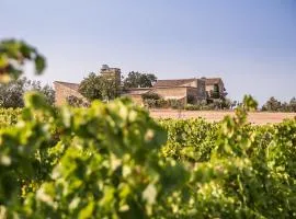 Domaine Sainte Suzanne