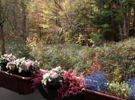 Kurhaus Apartment King Size Bett 180x200, Hotel in Bad Harzburg