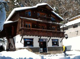 Pensiunea DANA, hotel in Predeal