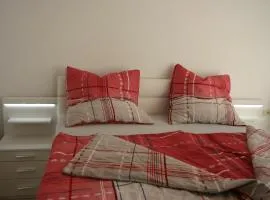 ApartmentBuyMetzingen