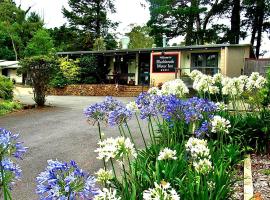 Blackheath Motor Inn, motel in Blackheath