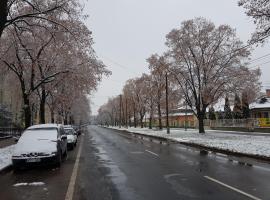 Lia Apartman, hotel met parkeren in Kiskunhalas