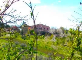 Il Rifugio dell'Ape Agriturismo