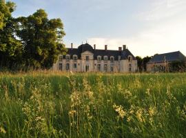 Chateau La Touanne Loire valley, hotel with pools in Baccon