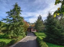 La Casina de Punticiella