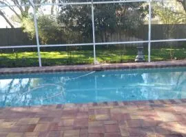Modern Pool Home