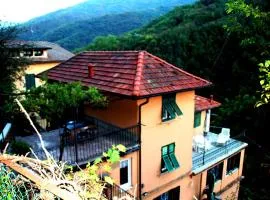 Fontana's House Relax