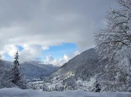 Gite de L'ours, hotel in La Bresse