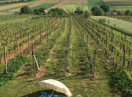 Vineyard Living、Filovciのホテル