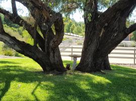 Equestrian Farm Stay, Hotel in One Tree Hill