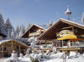 Arber Alm, hotel malapit sa Arber-Gondelbahn, Bayerisch Eisenstein