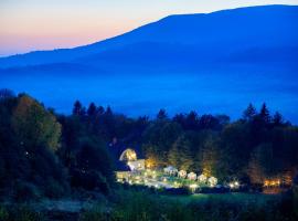 Villa Kvitka, hotel di Svalyava