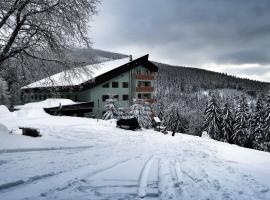 Cihlářka - horský apartmán 103, hotel en Černý Důl