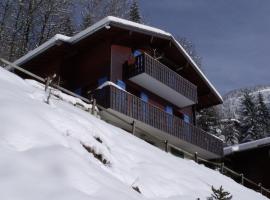 Le Ciel Bleu, chalet i Châtel