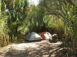 Camping Diaguitas, hotel i Vicuña
