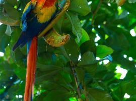 Casa Drake Lodge, Hotel in Drake