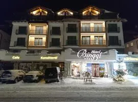 Hotel Binggl