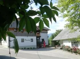 Ortnerhof Ennstal