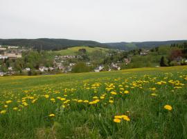 Ferienwohnung Körnerberg, hótel í Klingenthal