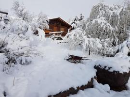 Posta Nehuen Cabañas, viešbutis mieste Potreriljosas