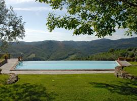 Special and Nice close to the Chianti, apartment in Bucine