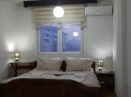 Apartment Idea