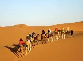 Sahara camel tours camp