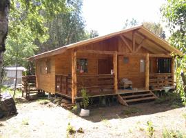 Cabañas Coñaripe，位于柯纳里佩的酒店