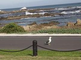 Kormorant, hotel perto de Strandveld Museum, Gansbaai