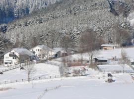 Dümpelhof Ferienwohnungen, appartamento a Olsberg