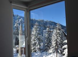 NEST Apartment, three-star hotel in Jahorina